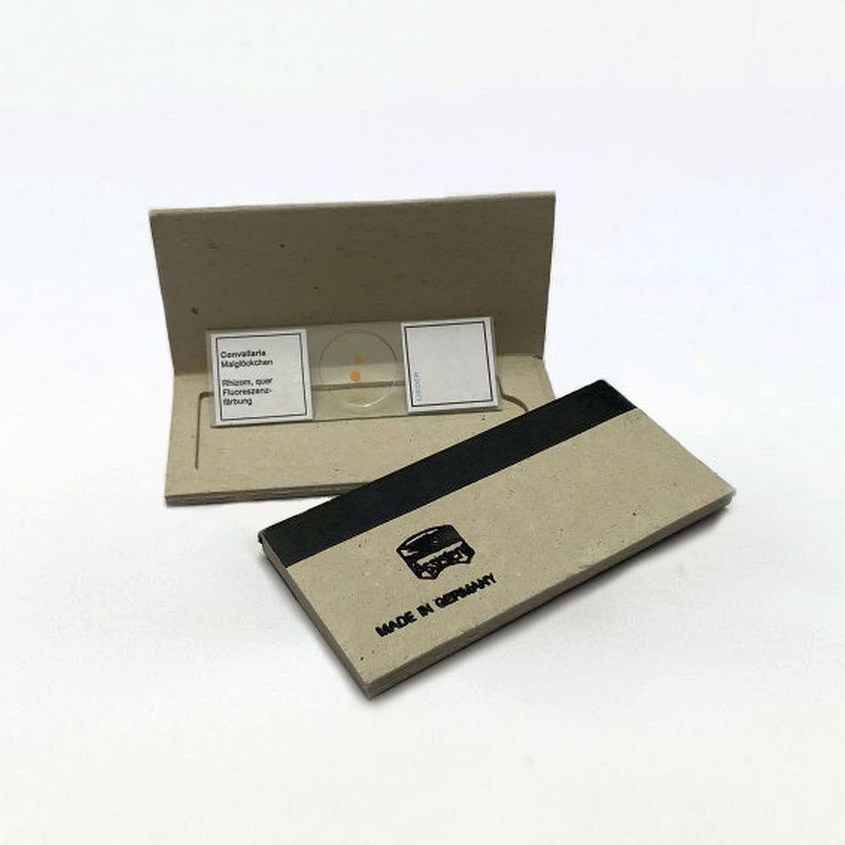 Convallaria Rhizome Sample Microscope Slide