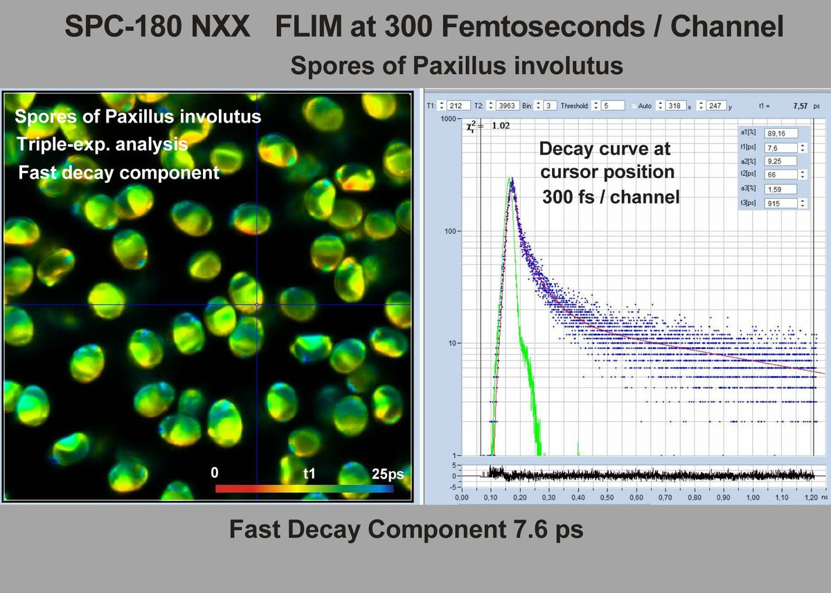 SPC-180N Series TCSPC/FLIM Modules