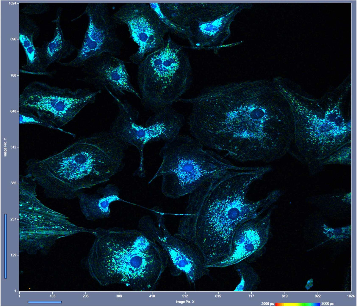SPC-QC-104 Four-Channel Time-Correlated Single Photon Counting Module