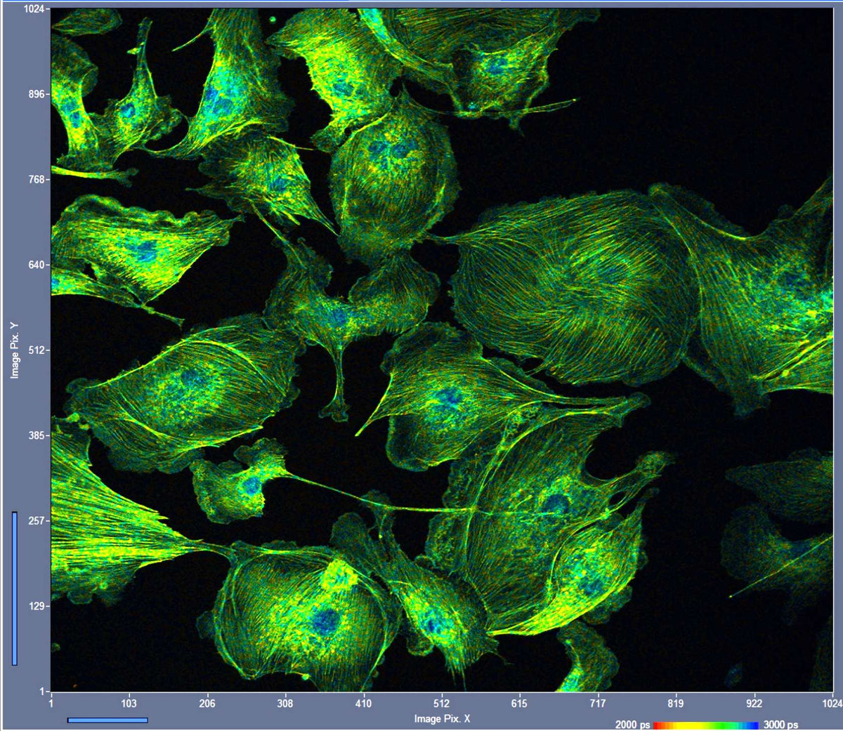 SPC-QC-104 Four-Channel Time-Correlated Single Photon Counting Module