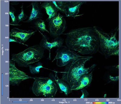 SPC-QC-104 Four-Channel Time-Correlated Single Photon Counting Module