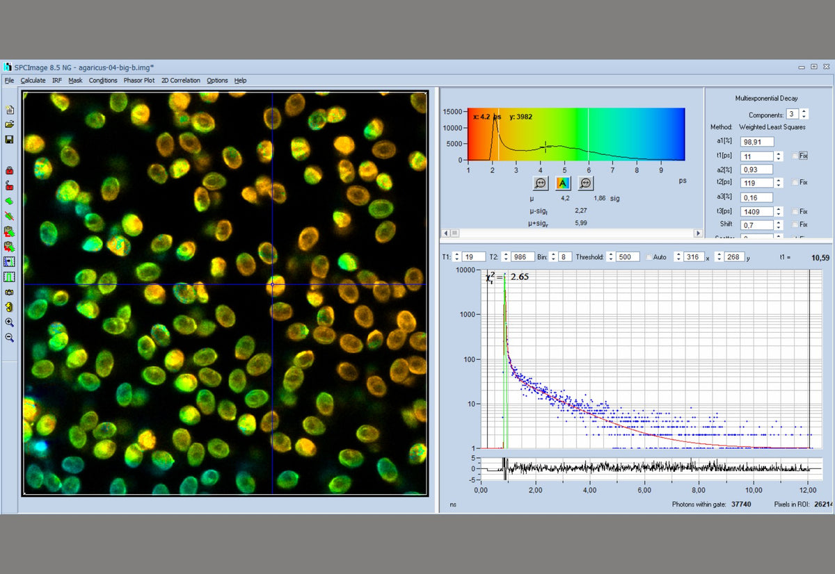 High Speed Hybrid Detectors for TCSPC  - HPM-100-40/42