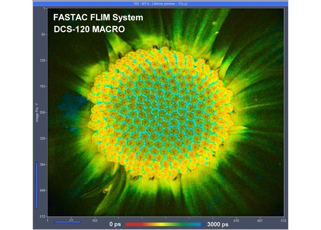 DCS-120 MACRO FLIM System