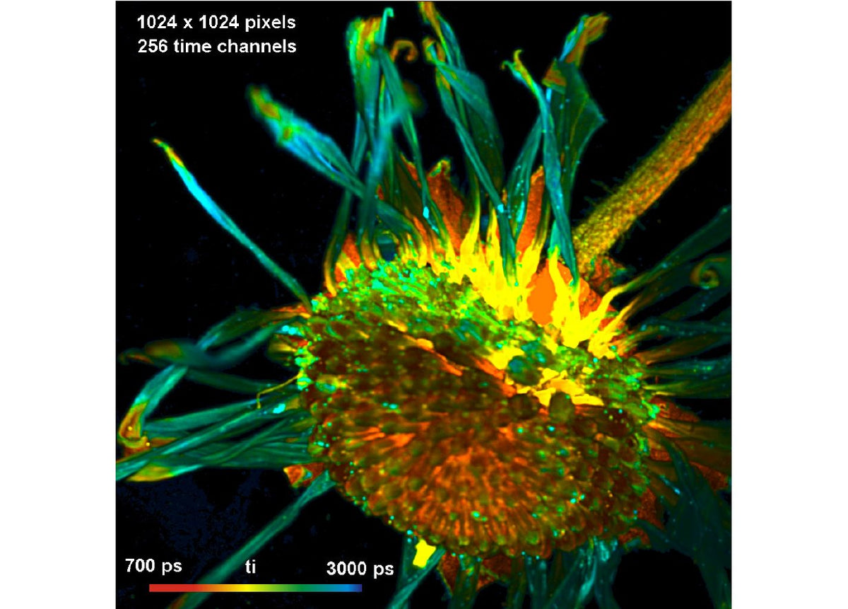 DCS-120 MACRO FLIM System