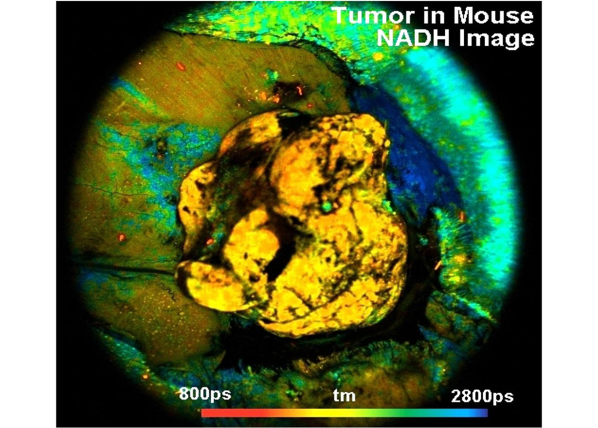 DCS-120 MACRO FLIM System