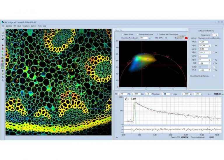 SPCImage NG - Analysis Software for FLIM, PLIM, Fluorescence and Phosphorescence Decay